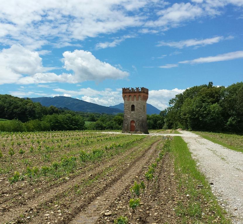 Agriturismo Casteldardo Vendégház Trichiana Kültér fotó