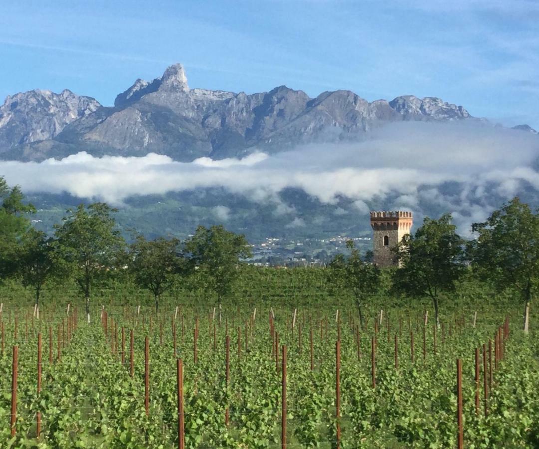 Agriturismo Casteldardo Vendégház Trichiana Kültér fotó