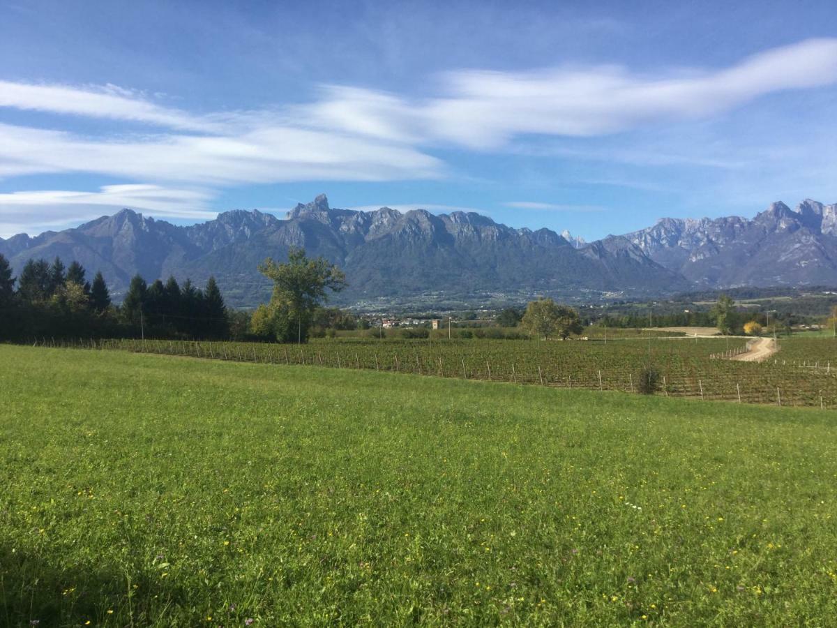 Agriturismo Casteldardo Vendégház Trichiana Kültér fotó