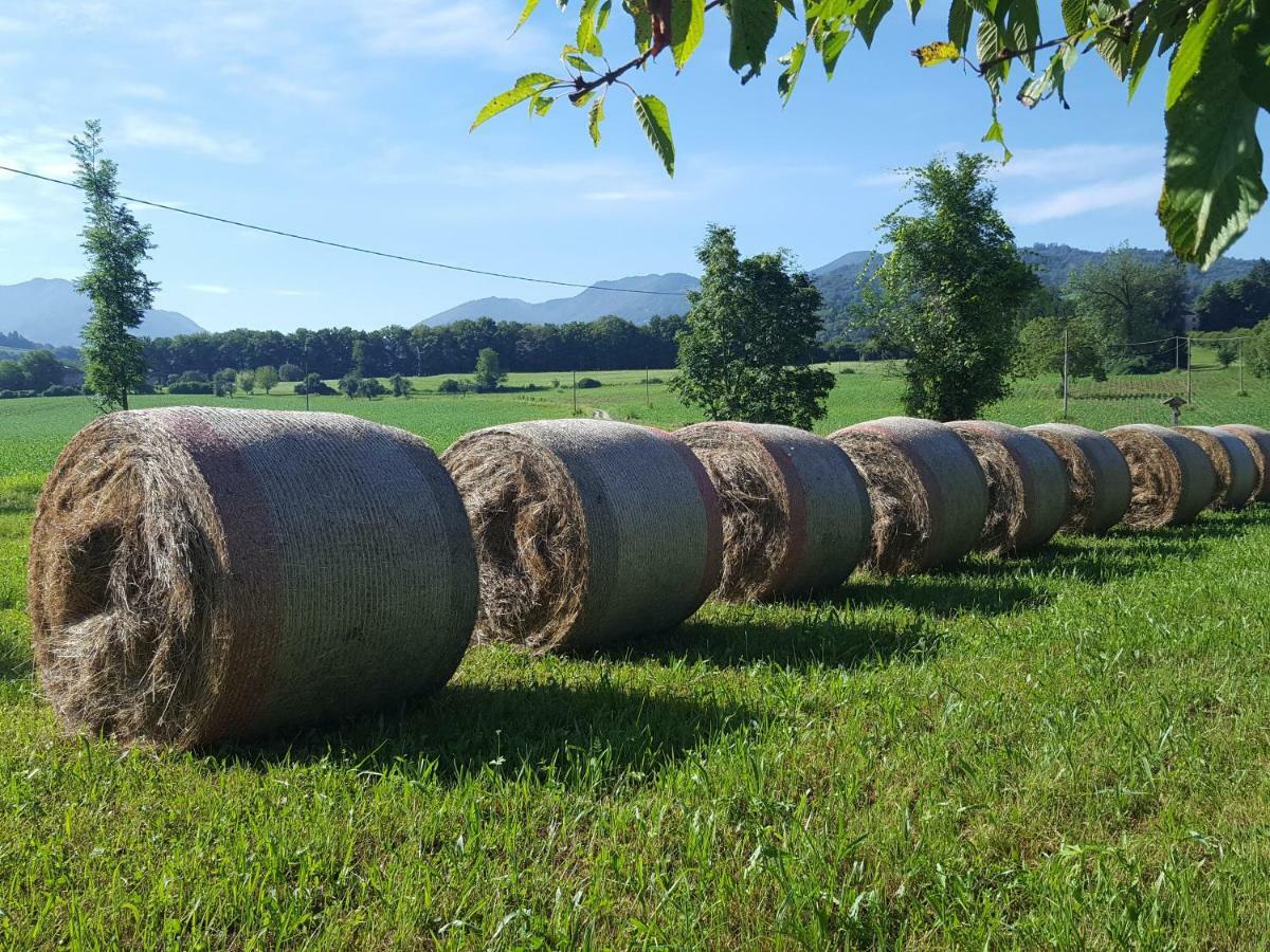 Agriturismo Casteldardo Vendégház Trichiana Kültér fotó